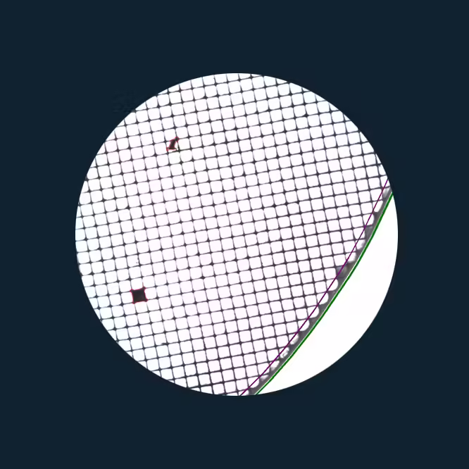 Cs Kf Inspect Cat Detection